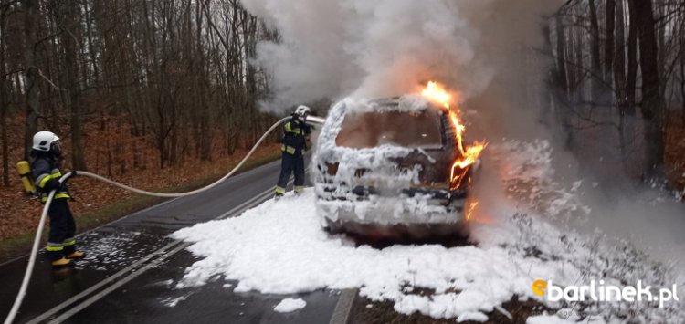 Pożar samochodu na DW 151.